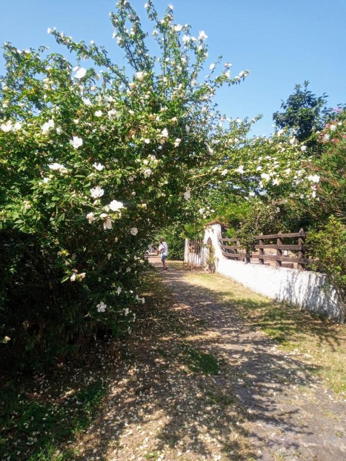 San Giovanni in Croce La Dama Con L'Ermellino B&B المظهر الخارجي الصورة